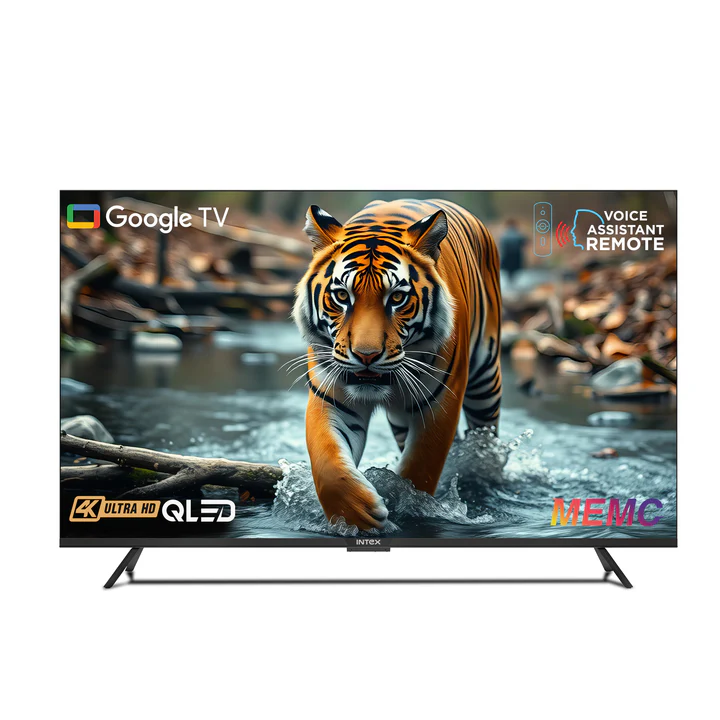 Technician providing Index TV repair service at customer location